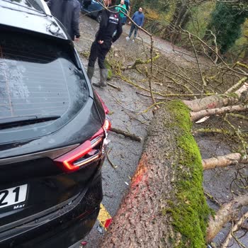 Ormanda Aracımın Üzerine Ağaç Düşmesi Sonucu Oluşan Hasar