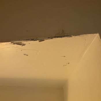 Arçelik Buzdolabı Teslimatında Büyük Hasar Ve Yanıltıcı Bilgi: Mağduriyetimin Giderilmesini Talep Ediyorum