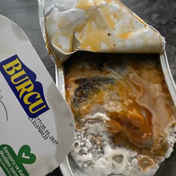 Burcu Gıda Tarihi Geçmemiş Üründe Küf Şoku ve Güven Sorunu