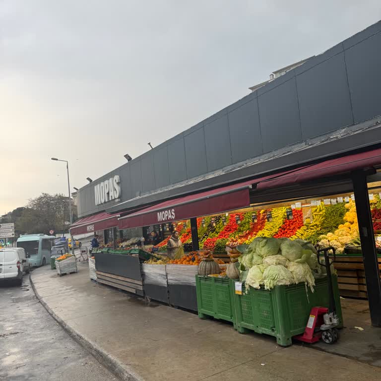 Sokak Hayvanları İçin Poşet Alımıma Toplu Satış Kısıtlamasıyla Engel Kondu