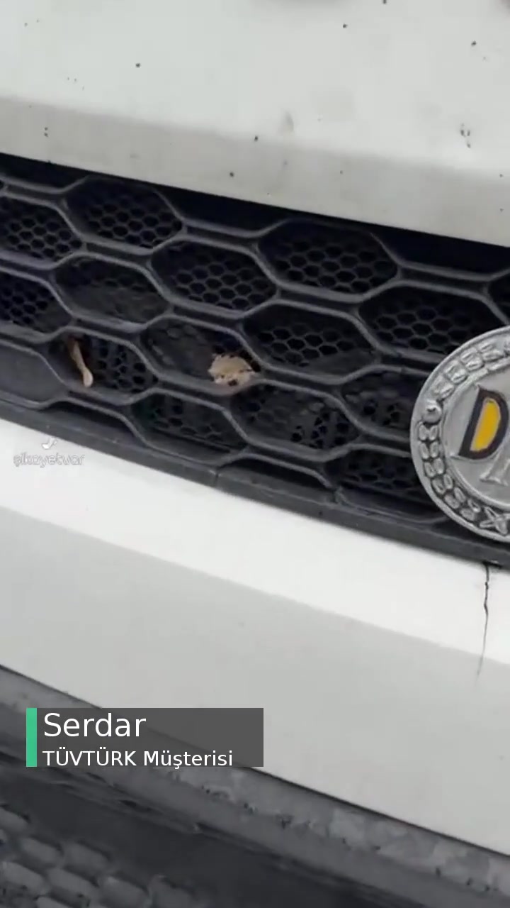 Tüvtürk Muayene Adil Değil! videonun kapak resmi