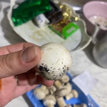 A101'den Kurtlu Ve Son Tüketim Tarihi Yakın Mantar Satışı