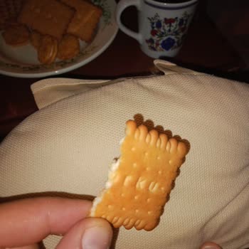 Torku Pötibör Bisküvide Hijyen Sorunu Ve İlgisiz Müşteri Hizmetleri