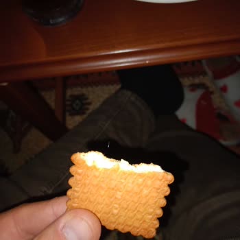 Torku Pötibör Bisküvide Hijyen Sorunu Ve İlgisiz Müşteri Hizmetleri