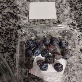 Migros'tan Aldığım Yaban Mersini Bozuk Çıktı, Sağlığım Tehlikeye Girdi