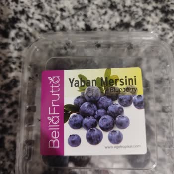 Migros'tan Aldığım Yaban Mersini Bozuk Çıktı, Sağlığım Tehlikeye Girdi