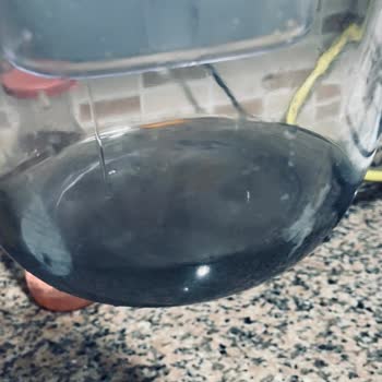 A101 Kusurlu Philips Filtreler ve Yetersiz Müşteri Hizmeti Nedeniyle Mağduriyet