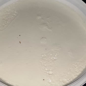 Pınar Yoğurt'ta Karşılaştığım Sorun Ve İlgisizlik