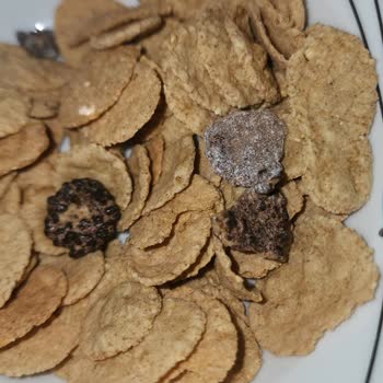 Küflü Tahıl Gevreği: Sağlık Riski Ve Hayal Kırıklığı