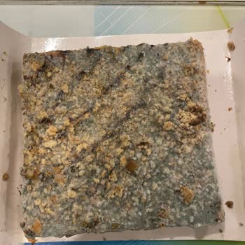 Migros'tan Aldığım Pastanın Küflü Çıkması Doğum Günü Sürprizimi Mahvetti