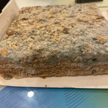 Migros'tan Aldığım Pastanın Küflü Çıkması Doğum Günü Sürprizimi Mahvetti