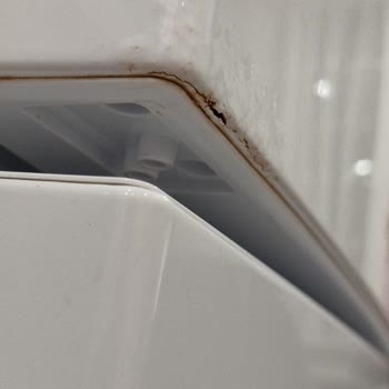 Bir Yıllık Samsung Buzdolabında Paslanma Ve Motor Değişimi Sorunu