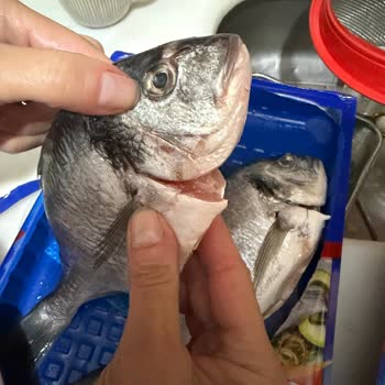 Taze Olmayan Balık Ve Eksik İade Nedeniyle Mağduriyet