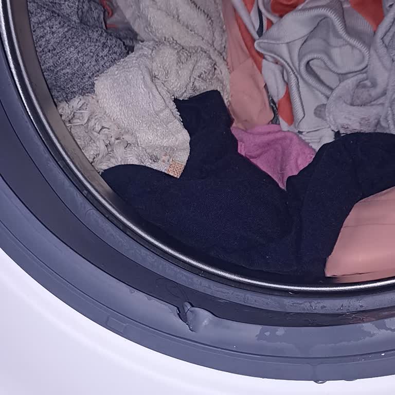 Samsung Yeni Alınan Çamaşır Makinesinde Lastik Yırtığı ve Garanti Sorunu