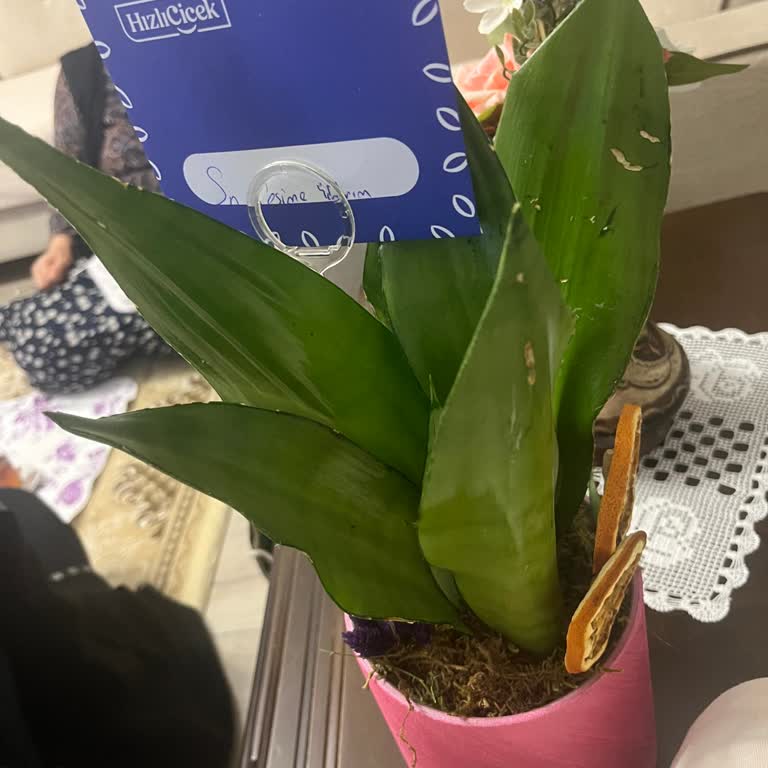 Yanlış Ürün Gönderimi Ve Çözüm Sağlanmıyor