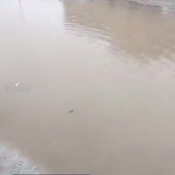 Seyhan Belediyesi Yol Göle Dönüyor, Acil Yardımcı Olun