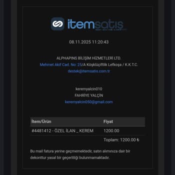 Satın Aldığım Oyun Hesabı Gitti, Param Ve Zamanım Boşa Gitti!