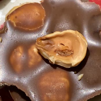 Fındıklı Çikolatadan Kurt Çıkması Ve İlgisiz Müşteri Hizmetleri