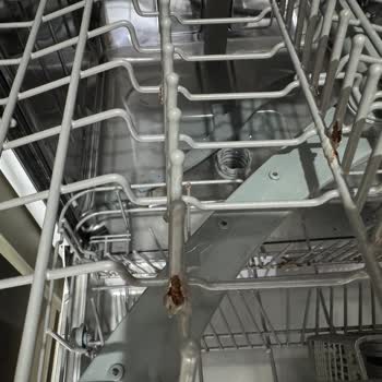 Teka Bulaşık Makinesinde Yoğun Paslanma Ve Sepet Temini Sorunu