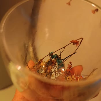 Aldığım Bardakta Saç Teli Çıkması Ve Hijyen Sorunu