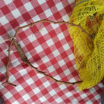 Fest Danışmanlık Ve Depolama Ayıplı Ürün Ve İletişimsizlik Nedeniyle İade Talebi