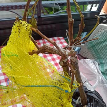 Fest Danışmanlık Ve Depolama Ayıplı Ürün Ve İletişimsizlik Nedeniyle İade Talebi