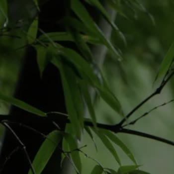 İstanbul Küçükçekmece'de Vodafone Hattımda Sürekli İnternet Ve Ses Kesintisi Yaşıyorum