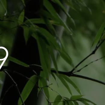 İstanbul Küçükçekmece'de Vodafone Hattımda Sürekli İnternet Ve Ses Kesintisi Yaşıyorum