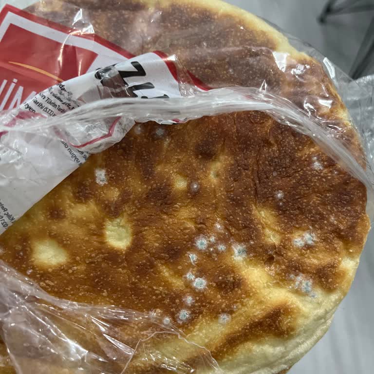 A101'den Aldığım Nimet Bazlama Küflü Çıktı!