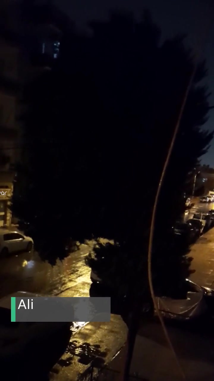 Mersin Büyükşehir Belediyesi Ağaç Yere Yatmak Üzere! videonun kapak resmi