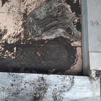 Kanalizasyon Kazısı Sonrası Binamızı Pis Su Bastı, Acil Çözüm Bekliyoruz