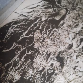 Kanalizasyon Kazısı Sonrası Binamızı Pis Su Bastı, Acil Çözüm Bekliyoruz