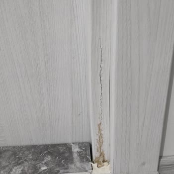 Triodoor Firmasında Yaşanılan İlgisizlik