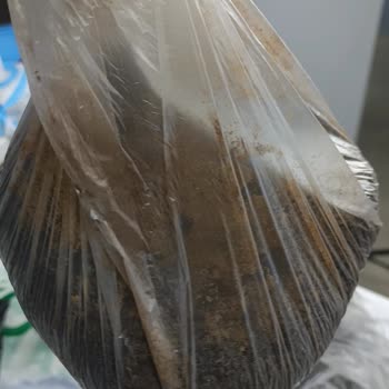 Bozuk Ürün Ve Saygısız Mağaza Personeli Nedeniyle Mağduriyet