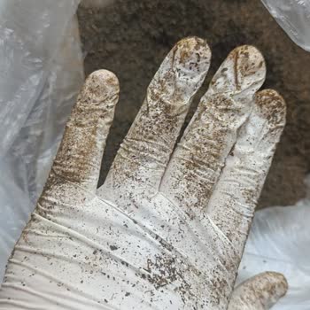 Bozuk Ürün Ve Saygısız Mağaza Personeli Nedeniyle Mağduriyet