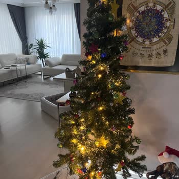 Aldığım Yılbaşı Ağacında Yoğun Ve Kalıcı Plastik Koku Sorunu