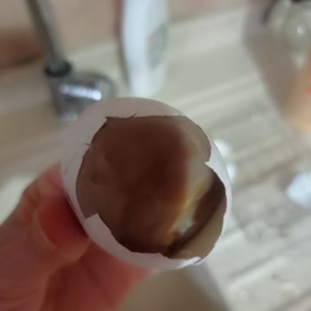 Özgür Yumurta Bozuk