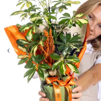 Yanıltıcı Görseller Ve Teslimat Gecikmesi Nedeniyle Sipariş Mağduriyeti