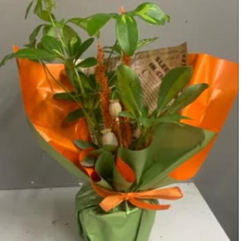 Yanıltıcı Görseller Ve Teslimat Gecikmesi Nedeniyle Sipariş Mağduriyeti