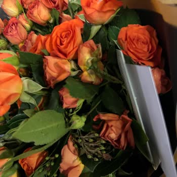 Solmuş Ve Farklı Çiçek, İlgisiz Müşteri Hizmetleriyle Mağduriyet Yaşadım