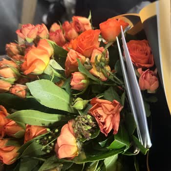 Solmuş Ve Farklı Çiçek, İlgisiz Müşteri Hizmetleriyle Mağduriyet Yaşadım