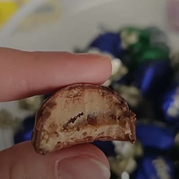 Elvan Fondante Çikolatada Bayatlama Ve Böceklenme Sorunu: Ürün Değişimi Veya İade Talebi