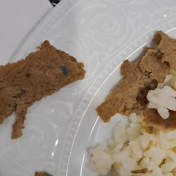 Metro Chef Dönerde Mavi Plastik Benzeri Yabancı Madde Şoku