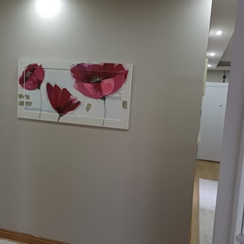 Filli Boya Katalog Rengiyle Uyuşmayan Boya Nedeniyle Mağduriyet