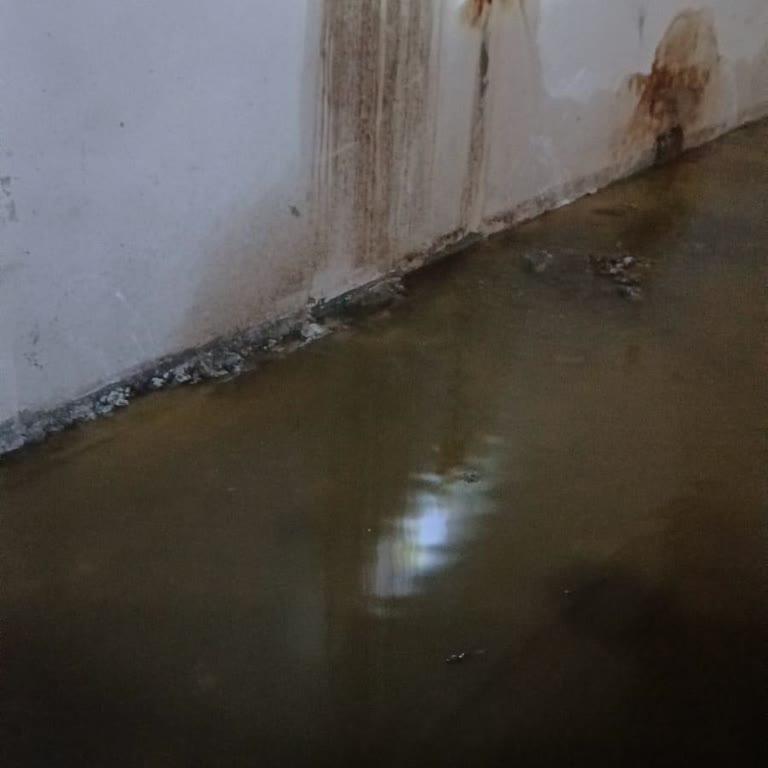 Apartmanımızda Kanalizasyon Krizi Ve Acil Çözüm İhtiyacı