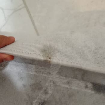 Ocaklar Halı Perde (Antalya) Ne Düzgün Bir Ürün Alabildim Ne De Tatmin Edici Bir Çözüm Sunuldu!