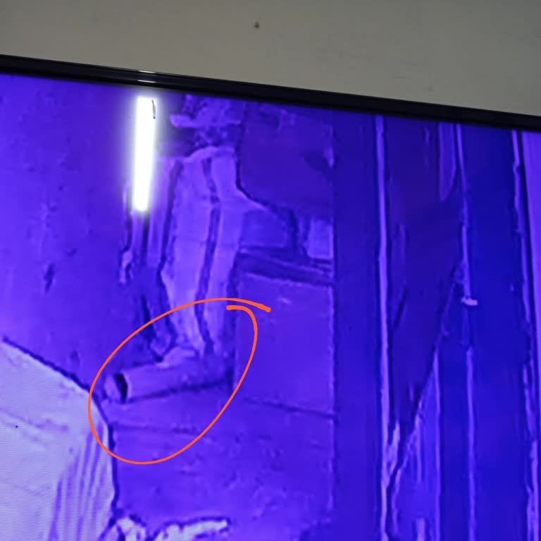 Sürat Kargo Teslimatında Kaybolan Paket Ve Maddi Kayıp Mağduriyeti