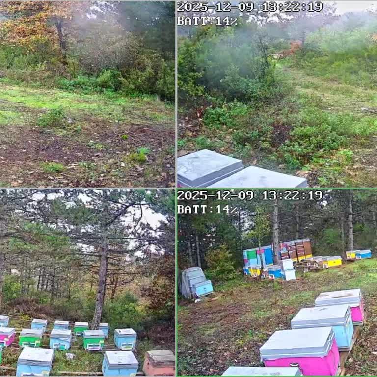 Avenir S445 Güvenlik Kamerasında Şarj Sorunu Ve Yetersiz Teknik Destek