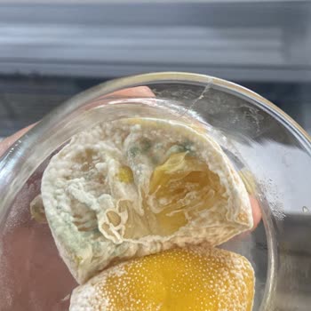 Samsung Buzdolabı Arızaları Ve Çözümsüz Servis Süreci Mağduriyeti