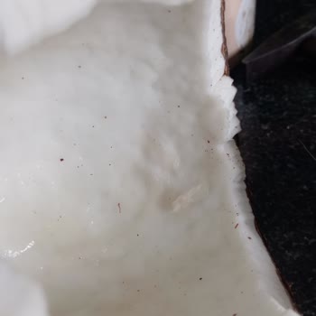 Küflü Ve Bozuk Hindistan Cevizi Küçük Çocuğumun Sağlığını Riske Attı